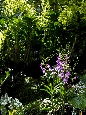 _45W2540+.jpg