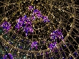 _45W4185+.jpg