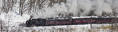 _45W5236+.jpg