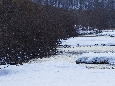 _45W5959+.jpg