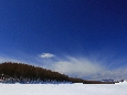 _45W6373+.jpg