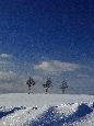 _45W6047+.jpg