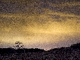 _45W6196+.jpg