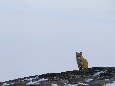 _45W6968+.jpg
