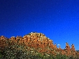 _45W8242+.jpg