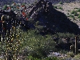 _45W8373.JPG