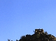 _45W8412.JPG