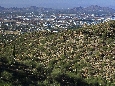 _45W8447+.jpg