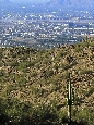 _45W8455+.jpg