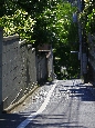 _45W8681+.jpg