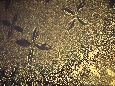 _45W8708.JPG