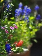 _45W8699+.jpg