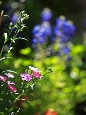 _45W8701+.jpg