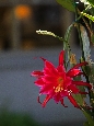 _45W8848+.jpg