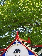 _45W8896+.jpg