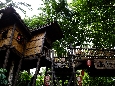 _DSF7187.JPG