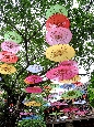 _DSF7234+.jpg