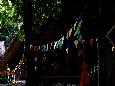 _DSF7194.JPG