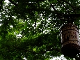 _DSF7224.JPG