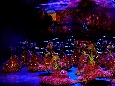 _DSF7249.JPG