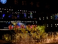 _DSF7390.JPG