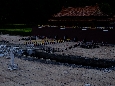 _DSF7381.JPG
