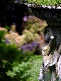 _DSF1182+.jpg