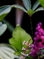 _DSF1220+.jpg
