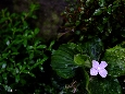 _DSF1256.JPG