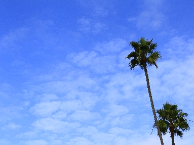 _45W3071.JPG