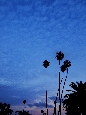 _DSF1994+.jpg