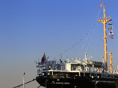 _45W4795.JPG