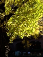 _DSF2339+.jpg