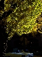 _DSF2340+.jpg