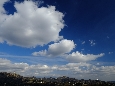 _DSF2367.JPG