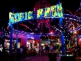 _DSF2483.JPG