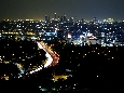 _DSF2494.JPG