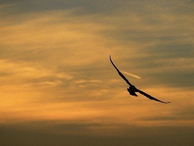 _45W5682.JPG
