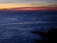_DSF2644.JPG