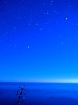 _DSF2714+.jpg