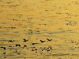 _45W6063.JPG