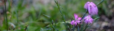 _DSF2942.JPG