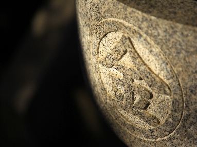 _45W7714.JPG