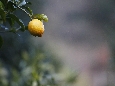 _45W7537.JPG