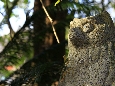 _45W7717.JPG