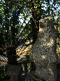 _45W7719+.jpg
