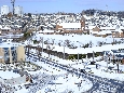 _DSF3264.JPG