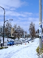 _DSF3282+.jpg