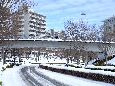 _DSF3294.JPG