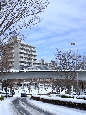 _DSF3288+.jpg
